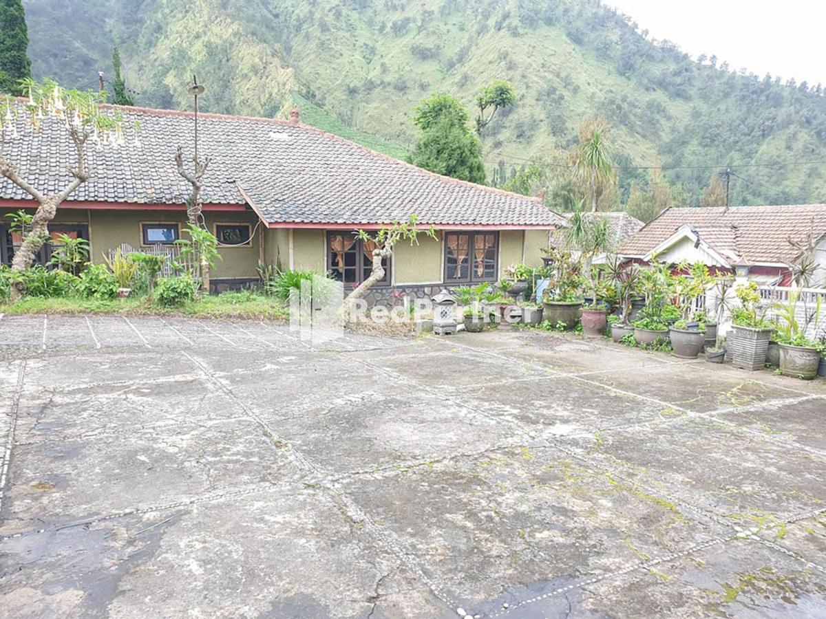 Hotel Yoschi'S Bromo At Desa Wisata Bromo Ngadisari Экстерьер фото