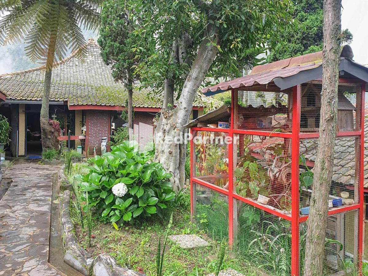 Hotel Yoschi'S Bromo At Desa Wisata Bromo Ngadisari Экстерьер фото