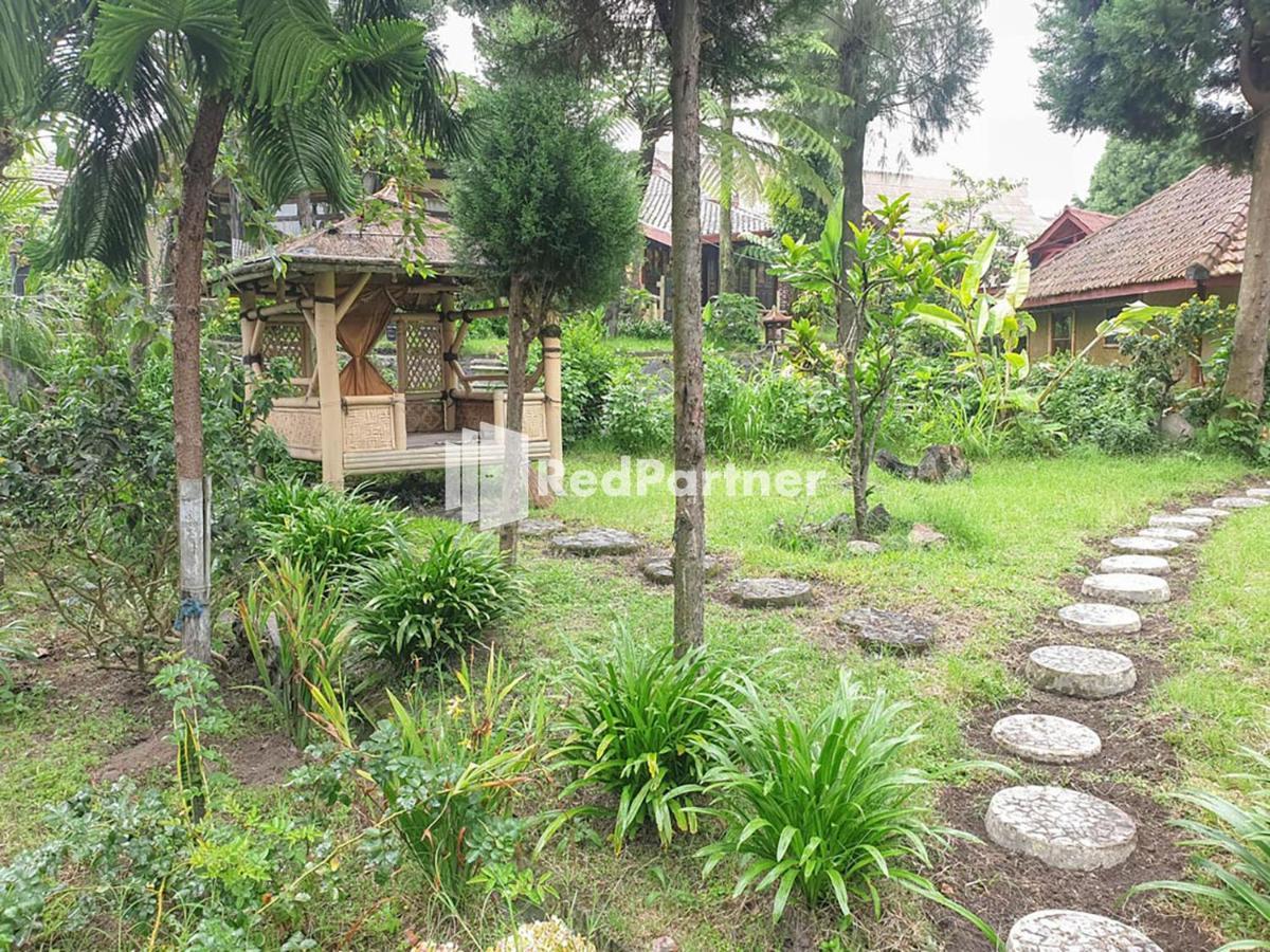 Hotel Yoschi'S Bromo At Desa Wisata Bromo Ngadisari Экстерьер фото